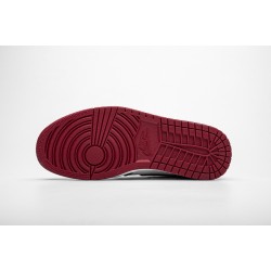 Air Jordan 1 Retro High OG Meant To Fly