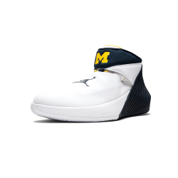 Air Jordan 31 Why Not Zero.1 Michigan PE