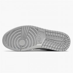 Air Jordan 1 High OG CO.JP Neutral Grey Neutral GreyWhite Metallic Si DC1788 029 AJ1