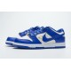 Supreme x Nike SB Dunk Low Blue Stars
