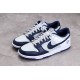 Nike SB Dunk Low Nets --DD3363-001 Casual Shoes Unisex