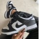 Nike Dunk Low Retro White Black 2021 Panda DD1391 100