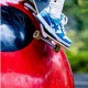 A Bathing Ape Sk8 Low Ltblue White Women Men Shoes